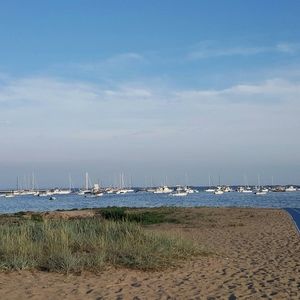 Meet your Posher, Phoebe